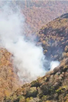  ?? STAFF PHOTO BY DAN HENRY ?? A wildfire burns in the North Chickamaug­a Creek Gorge along the Flipper Bend area of Signal Mountain on Wednesday.