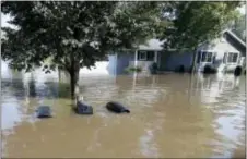  ?? BRANDON POLLOCK — THE COURIER VIA AP ?? The tops of mailboxes barely break the surface of floodwater­s from the Cedar River in the North Cedar neighborho­od of Cedar Falls, Iowa, Saturday.