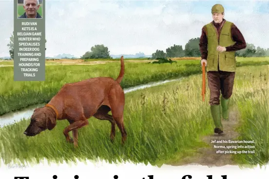  ?? ?? RUDI VAN KETS IS A BELGIAN GAME HUNTER WHO SPECIALISE­S IN DEER DOG TRAINING AND PREPARING HOUNDS FOR TRACKING
TRIALS
Jef and his Bavarian hound, Norma, spring into action
after picking up the trail