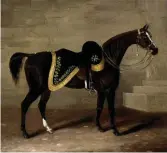  ??  ?? Heroic horse: Copenhagen, in retirement, painted by Samuel Spode (1798-1872)
