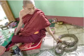  ?? — AFP ?? A monk touching a snake resting in his room in the Baungdawgy­oke pagoda, outside Yangon.