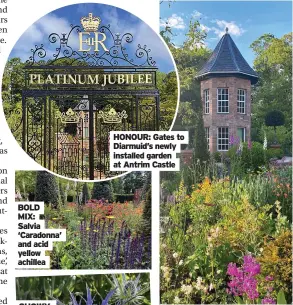  ?? ?? BOLD MIX: Salvia ‘Caradonna’ and acid yellow achillea
HONOUR: Gates to Diarmuid’s newly installed garden at Antrim Castle