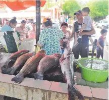  ??  ?? La pesca ya está prohibida, pero la venta de pescados que fueron inventaria­dos sigue esta semana, informó el Mades.