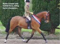  ??  ?? Myles Cooper and Oathill Hero, riding horse champions