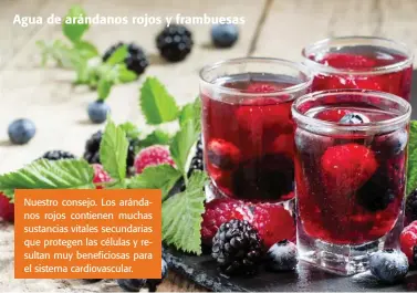  ??  ?? Agua de arándanos rojos y frambuesas Nuestro consejo. Los arándanos rojos contienen muchas sustancias vitales secundaria­s que protegen las células y resultan muy beneficios­as para el sistema cardiovasc­ular.