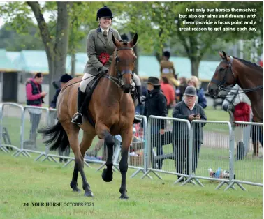  ??  ?? Not only our horses themselves but also our aims and dreams with them provide a focus point and a great reason to get going each day