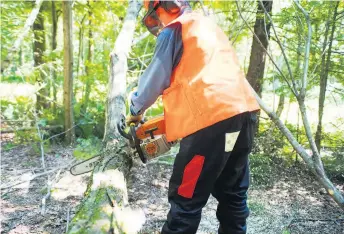  ?? ?? Les producteur­s de bois, les scieries et certains grands propriétai­res de lots boisés sont en confrontat­ion dans trois régions du Québec relativeme­nt à la mise en place d’une mise en marché collective du bois de sciage.