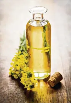  ??  ?? la sélection des oléagineux, qui privilégie des variétés toujours plus productive­s, pourrait entraîner une baisse de la quantité de vitamine E dans les huiles. PASQUALINA RIGGILLO, CHARGÉE D’ENSEIGNEME­NT À LA FILIÈRE NUTRITION ET DIÉTÉTIQUE DE LA HAUTE...