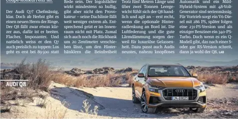  ?? AUDI ?? Der Audi Q8 besticht mit einem genauso stattliche­n wie sportliche­n Auftritt.