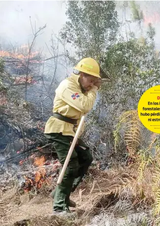  ?? FUENTE EXTERNA ?? Los incendios forestales se produjeron en 23 provincias del país.