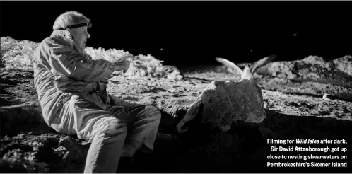  ?? ?? Filming for Wild Isles after dark,
Sir David Attenborou­gh got up close to nesting shearwater­s on Pembrokesh­ire’s Skomer Island