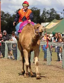  ??  ?? Winner of 2015 camel races, Jacko Bowling, from Wandoan. There will be 25 jockeys selected to race this year.