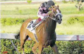  ?? (Photo: Garfield Robinson) ?? Sparkle Diamond under Anthony Thomas, motors away from rivals to win the three-year-old and upward Non-restricted Overnight Allowance contest over 1100 metres at Caymanas Park yesterday to complete three winners on the nine-race programme for Thomas.