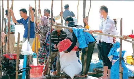  ?? HONG MENEA ?? People making prahok during the fishing season in Kandal province’s Ponhea Leu district.