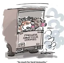  ??  ?? “So much for herd immunity.”