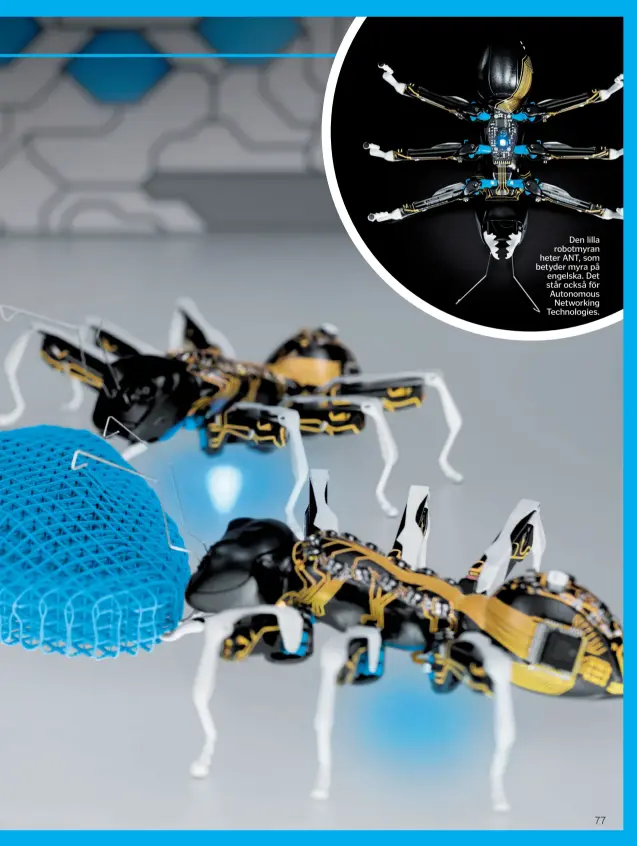  ??  ?? Den lilla robotmyran heter ANT, som betyder myra på engelska. Det står också för Autonomous Networking Technologi­es.