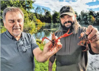  ?? ARCHIVFOTO: AXEL PRIES ?? Die Fischer am Nodenensee versuchen, die Ausbreitun­g des Louisiana-Flusskrebs­es zu verhindern.