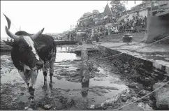  ?? RAJESH KUMAR/HT ?? Pollutants flowing into the Ganga, Varanasi. In February, the NGT had rapped the State for ‘wasting public money’ in the name of the river cleaning project