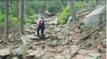  ?? LINDSEY TANNER/THE ASSOCIATED PRESS ?? A hiker navigates a trail on Mount Monadnock. It’s named after a native word for mountain standing alone.