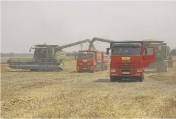  ?? VITALY TIMKIV/AP ?? Farmers harvest with their combines in a wheat field near the village of Tbilisskay­a, Russia, last summer. Russia and Ukraine combine to account for about one-third of the world’s wheat and barley exports and provide large amounts of corn and cooking oils.