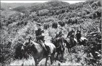  ?? PROVIDED TO CHINA DAILY ?? Team members ride across the forest on a tour of inspection during the 1960s.