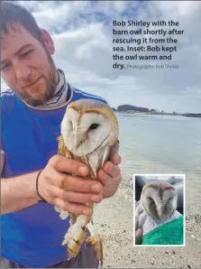  ?? Photograph­s: Bob Shirley. ?? Bob Shirley with the barn owl shortly after rescuing it from the sea. Inset: Bob kept the owl warm and dry.