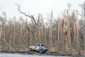  ?? Photo / AP ?? The gutted remains of a car and damaged trees are all that remain at the spot of a battle between rival forces on the outskirts of Chernihiv.