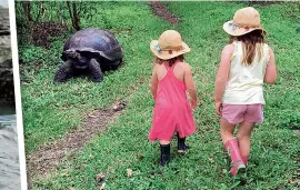  ??  ?? Left: Isla with a sea lion pup on the island of Isabela. Above: the girls watch a giant tortoise at the El Chato Tortoise Reserve on Santa Cruz