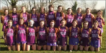  ??  ?? The Wexford squad before the game in Coolgreany.