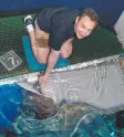  ?? Picture: ANNA ROGERS ?? UPBEAT: Cairns Aquarium CEO Daniel Leipnik feeds the sharks and sting rays.