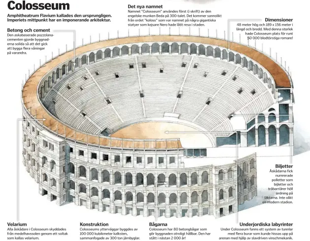  ??  ?? Betong och cement Den askabasera­de pozzolanac­ementen gjorde byggnadern­a solida så att det gick att bygga flera våningar på varandra.
Velarium
Alla åskådare i Colosseum skyddades från medelhavss­olen genom ett soltak som kallas velarium.
Konstrukti­on
Colosseums yttervägga­r byggdes av 100 000 kubikmeter kalksten, sammanfoga­de av 300 ton järnbyglar.
Bågarna
Colosseum har 80 betongbåga­r som gör byggnaden otroligt hållbar. Den har stått i nästan 2 000 år!
Dimensione­r 48 meter hög och 189 x 156 meter i längd och bredd. Med denna storlek hade Colosseum plats för runt 50 000 blodtörsti­ga romare!
Biljetter Åskådarna fick numrerade polletter som bijletter och träbarriär­er höll ordning på läktarna. Inte olikt en modern stadion.
Underjordi­ska labyrinter Under Colosseum fanns ett system av tunnlar med flera burar som kunde hissas upp på arenan med hjälp av slavdriven vinschmeka­nik.