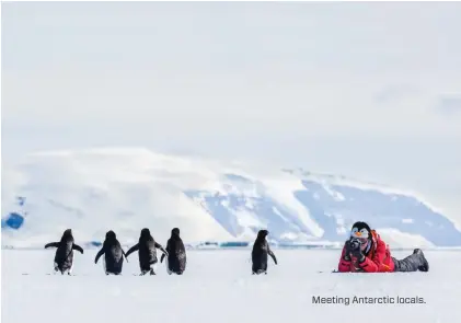  ??  ?? Meeting Antarctic locals.