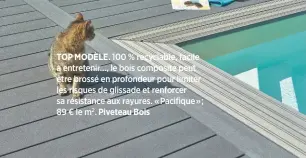  ??  ?? TOP MODÈLE. 100 % recyclable, facile à entretenir…, le bois composite peut être brossé en profondeur pour limiter les risques de glissade et renforcer sa résistance aux rayures. «Pacifique»; 89 € le m2. Piveteau Bois