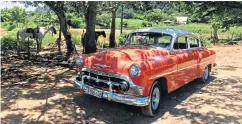  ??  ?? i Vintage cars used as taxis are automotive workhorses
g Today, Cuba’s cowboys grow crops rather than tend cattle as they did in the 1950s