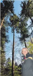  ?? FOTO: DPA ?? Nicole Schmalfuß, Leiterin des städtische­n Forstamtes in Freiburg, steht vor Waldtraut, dem höchsten Baum Deutschlan­ds.