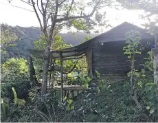  ??  ?? One of Ellany Lea’s favourite Airbnbs is Lilly’s tree house in Dominica.