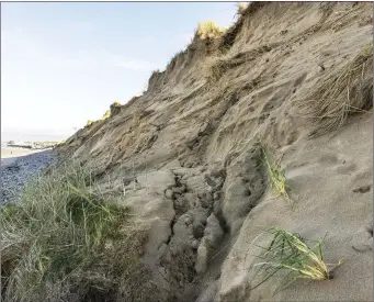  ?? Pic: Donal Hackett. ?? The erosion in Strandhill is of concern.