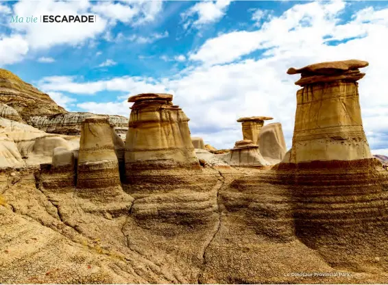  ?? Le Dinosaur Provincial Park ??