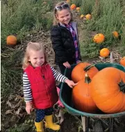  ??  ?? Ballycross Apple Farm is open every Saturday, Sunday and Bank Holiday Monday from 12pm – 6pm. It is open for the Halloween mid-term break from the 27th October – 4th November.Admission including tractor &amp; trailer ride is as follows:Child €4.50Adult €5.50Family (2+3) €20Family (2+2) €19