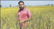  ?? HT PHOTO ?? Gurinder Singh Brar, of Bhanchari village in Muktsar, hasn’t burnt stubble for five years