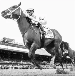  ?? BARBARA D. LIVINGSTON ?? Call Paul, winner of the Grade 2 Saratoga Special, defeated Hopeful winner Mind Control in a maiden race at Delaware Park.