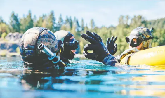  ?? JEREMY KORESKI ?? Freediving with Tofino Resort + Marina is a great way to explore the wildlife off the coast of Vancouver Island.