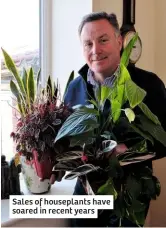  ??  ?? Sales of houseplant­s have soared in recent years