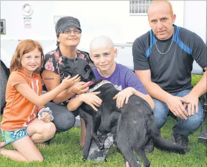  ?? ERIC MCCARTHY/JOURNAL PIONEER ?? Members of the Sweet family, Messina (left), Tracy, Jamison, Cory and their dog Jersey pose in front of the camper 12-year-old Jamison received as a Children’s Wish Foundation wish. He’s fighting a rare form of cancer that attacks soft tissue.
