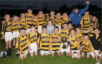  ??  ?? The victorious Rathnure team.