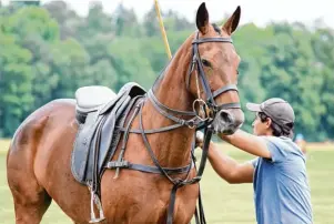  ??  ?? Beim Polo herrschen strenge Regeln. Sie sollen vor allem die Pferde schützen.