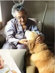  ??  ?? Left: Lisa with (front, left to right) Sam, Marlie, Billy Boy, Bo, Harry, and (behind, front to back) Oscar, Leo and Poppy.
This page, from top: nursing home resident Annie greets Mollie; ‘Banana Bob’ has a treat for his canine pals; 91-year-old Lois has a cuddle and chin-wag with Leo.