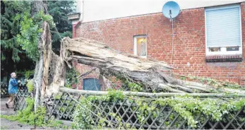  ?? FOTO: DPA ?? Tödliche Gefahr: Dieser umgestürzt­e Baum in Dortmund kostete eine 51-jährige Frau das Leben.