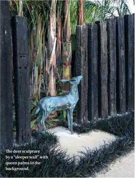  ??  ?? The deer sculpture by a “sleeper wall” with queen palms in the background.