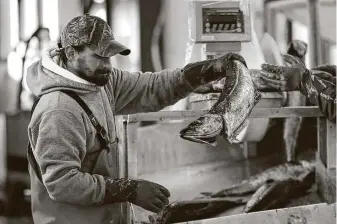  ?? Robert F. Bukaty / Associated Press file photo ?? The National Oceanic and Atmospheri­c Administra­tion says the pandemic has hurt the U.S. seafood industry with a drastic drop in imports and exports and cut the catch of some species.